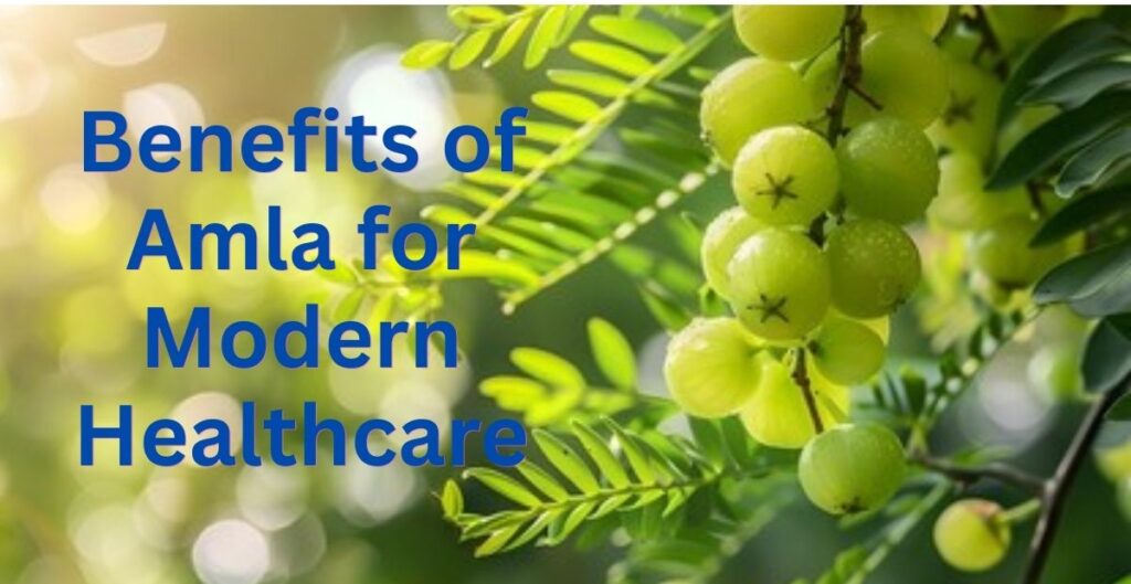 Benefits of Amla for Modern Healthcare!