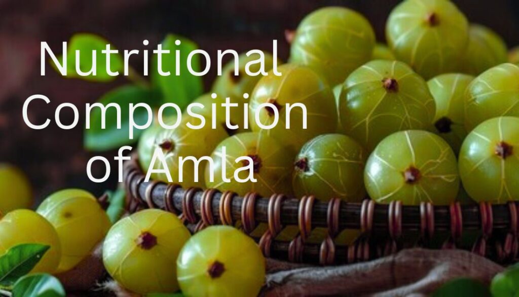  Nutritional Composition of Amla